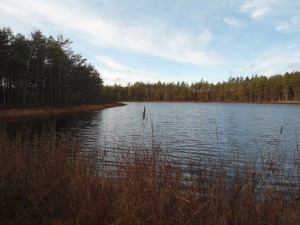 Klogöl, norra delen